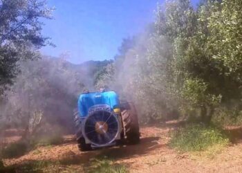 Π.Ε. ΗΛΕΙΑΣ – ΔΙΕΥΘΥΝΣΗ ΑΓΡΟΤΙΚΗΣ ΑΝΑΠΤΥΞΗΣ: Σχετικά με τους δολωματικούς ψεκασμούς