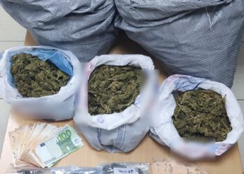 Συνελήφθησαν τρία άτομα στην Ηλεία για καλλιέργεια και κατοχή ναρκωτικών