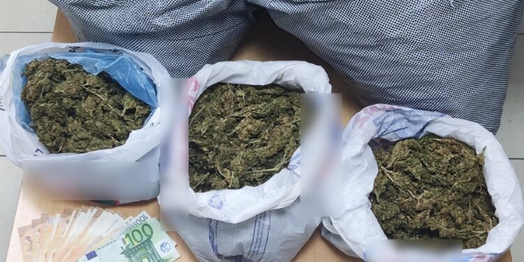 Συνελήφθησαν τρία άτομα στην Ηλεία για καλλιέργεια και κατοχή ναρκωτικών