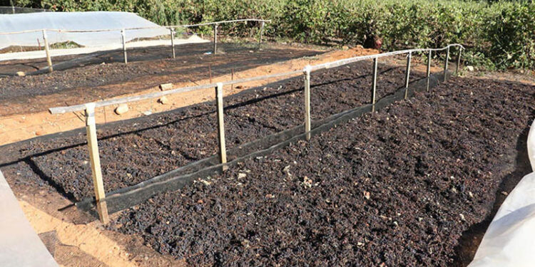 Π.Ε. ΗΛΕΙΑΣ – ΔΙΕΥΘΥΝΣΗ ΑΓΡΟΤΙΚΗΣ ΟΙΚΟΝΟΜΙΑΣ: Σχετικά με τους δικαιούχους της συνδεδεμένης ενίσχυσης Κορινθιακής Σταφίδας