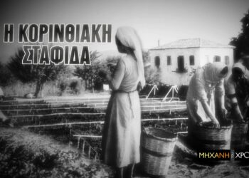 “Η ιστορία της Σταφίδας” στην “Μηχανή του Χρόνου”
