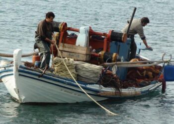Π.Ε. ΗΛΕΙΑΣ – ΔΙΕΥΘΥΝΣΗ ΑΓΡΟΤΙΚΗΣ ΑΝΑΠΤΥΞΗΣ: Ανακοίνωση για τους Επαγγελματίες Αλιείς