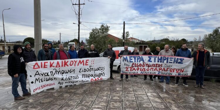 ΟΜΟΣΠΟΝΔΙΑ ΑΓΡΟΤΙΚΩΝ ΣΥΛΛΟΓΩΝ ΗΛΕΙΑΣ: Κάλεσμα δυναμικής συμμετοχής στις κινητοποιήσεις ενάντια στην αντιλαϊκή πολιτική