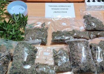 Συνελήφθη άνδρας στην Ηλεία για διακίνηση και καλλιέργεια ναρκωτικών