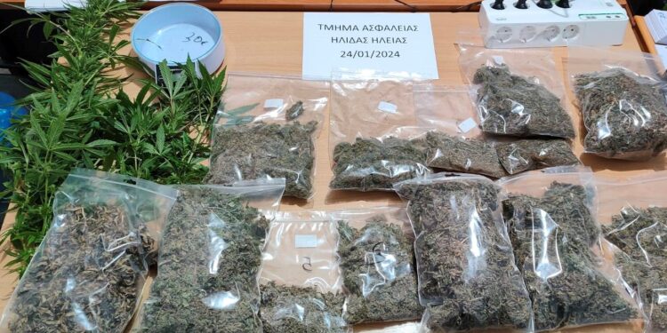 Συνελήφθη άνδρας στην Ηλεία για διακίνηση και καλλιέργεια ναρκωτικών