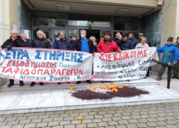 ΟΜΟΣΠΟΝΔΙΑ ΑΓΡΟΤΙΚΩΝ ΣΥΛΛΟΓΩΝ ΗΛΕΙΑΣ: Σύσκεψη σήμερα στη Ξυλοκέρα για ελιές, σταφίδα και αμπέλια
