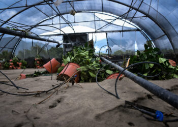 ΔΗΜΟΣ ΗΛΙΔΑΣ: Παρελήφθησαν από τον Δήμο οι εκτιμήσεις του ΕΛΓΑ για τις ζημιές του 2ου εξαμήνου του 2023»