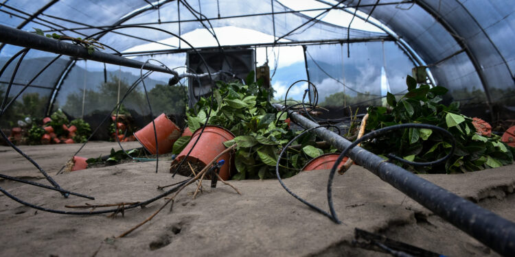 ΔΗΜΟΣ ΗΛΙΔΑΣ: Παρελήφθησαν από τον Δήμο οι εκτιμήσεις του ΕΛΓΑ για τις ζημιές του 2ου εξαμήνου του 2023»