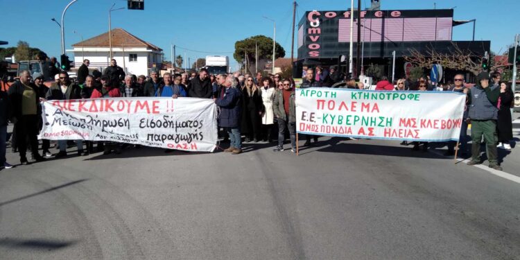 ΟΜΟΣΠΟΝΔΙΑ ΑΓΡΟΤΙΚΩΝ ΣΥΛΛΟΓΩΝ ΗΛΕΙΑΣ: “Η κυβερνητική άρνηση δεν μας πτοεί. Συνεχίζουμε τον αγώνα”