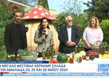 ΔΗΜΟΣ ΗΛΙΔΑΣ: Στην ΕΡΤ ο Δήμαρχος Χρήστος Χριστοδουλόπουλος για τη μεγάλη διοργάνωση του Φεστιβάλ “ΚΕΡΝΑΜΕ ΕΛΛΑΔΑ 2024”