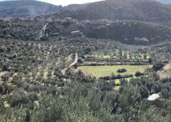 Εφαρμογή του Κανονισμού Πυροπροστασίας Ακινήτων