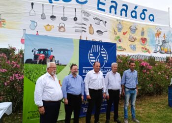 ΔΗΜΟΣ ΗΛΙΔΑΣ: Όλα έτοιμα στο Δημοτικό Αθλητικό Κέντρο Αμαλιάδας για την έναρξη του φεστιβάλ ΚΕΡΝΑΜΕ ΕΛΛΑΔΑ 2024