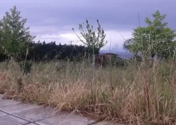 Τέλος για αυτεπάγγελτο καθαρισμό οικοπέδων