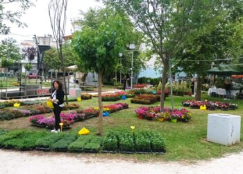 ΔΗΜΟΣ ΗΛΙΔΑΣ: Άνοιξε της πύλες της η 22η Πανηλειακή Ανθοκομική Έκθεση Αμαλιάδας