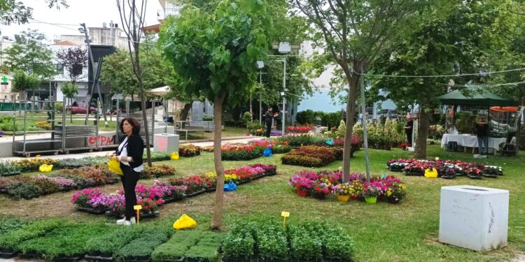 ΔΗΜΟΣ ΗΛΙΔΑΣ: Άνοιξε της πύλες της η 22η Πανηλειακή Ανθοκομική Έκθεση Αμαλιάδας