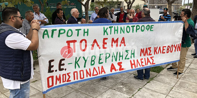 ΟΜΟΣΠΟΝΔΙΑ ΑΓΡΟΤΙΚΩΝ ΣΥΛΛΟΓΩΝ ΗΛΕΙΑΣ: “Η τρομοκρατία δεν θα περάσει, καλούν αγρότες να απολογηθούν και να δώσουν στοιχεία για τις πρόσφατες κινητοποιήσεις τους”