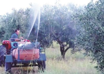 Π.Ε. ΗΛΕΙΑΣ – ΔΙΕΥΘΥΝΣΗ ΑΓΡΟΤΙΚΗΣ ΑΝΑΠΤΥΞΗΣ: Δολωματικοί ψεκασμοί σε Τ.Κ. της Ηλείας