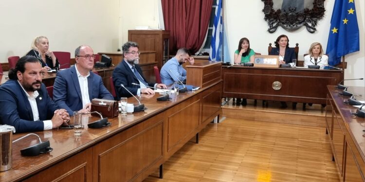 ΔΙΟΝΥΣΙΑ ΑΥΓΕΡΙΝΟΠΟΥΛΟΥ: “Προτεραιότητες η ηλεκτροκίνηση και το ποδήλατο”