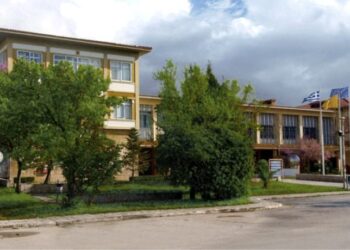 ΚΙΝΗΣΗ ΠΟΛΙΤΩΝ ΓΙΑ Α.Ε.Ι. ΣΤΗΝ ΗΛΕΙΑ: Τα Συντονιστικά Όργανα