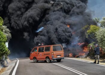 ΔΗΜΟΣ ΑΝΔΡΙΤΣΑΙΝΑΣ – ΚΡΕΣΤΕΝΩΝ: Δηλώσεις ζημιάς για την πυρκαγιά του 2022