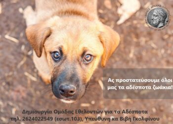 ΔΗΜΟΣ ΑΡΧΑΙΑΣ ΟΛΥΜΠΙΑΣ: Δημιουργείται Ομάδα Εθελοντών για τα αδέσποτα