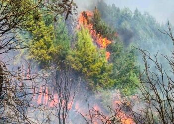 ΔΗΜΟΣ ΗΛΙΔΑΣ: Σε επιφυλακή για ακόμα μία φορά βρίσκεται ο Δήμος Ήλιδας λόγω του νέου “Red Code” για εκδήλωση πυρκαγιών