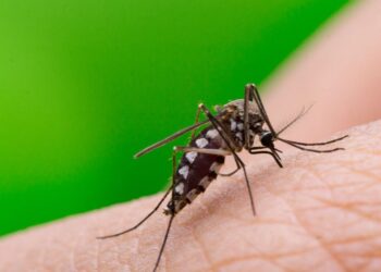 ΠΕΡΙΦΕΡΕΙΑ ΔΥΤΙΚΗΣ ΕΛΛΑΔΑΣ: Μέτρα προστασίας για αποφυγή μόλυνσης από τον ιό του Δυτικού Νείλου, με αφορμή κρούσματα λοίμωξης