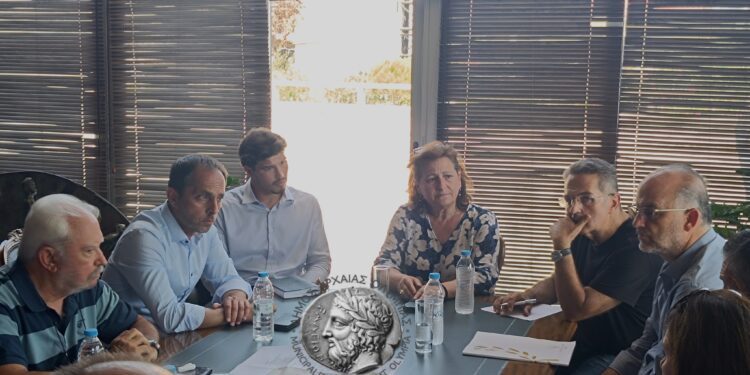 ΔΗΜΟΣ ΑΡΧΑΙΑΣ ΟΛΥΜΠΙΑΣ: Αυτοψία της Προϊσταμένης Γενικής Διεύθυνσης Αρχαιοτήτων και Πολιτιστικής Κληρονομιάς, Ολυμπίας Βικάτου, στην Αρχαία Ολυμπία