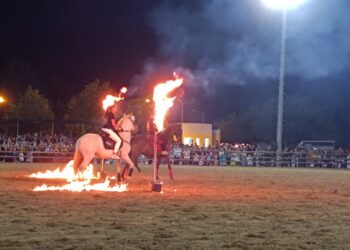 90η Ιππική Έκθεση Ανδραβίδας: Γιορτή αντάξια της ιστορίας της! (φωτος)