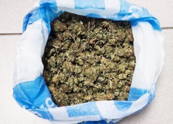 Συνεχίζονται οι συλλήψεις στην Ηλεία για παράβαση της νομοθεσίας  περί ναρκωτικών