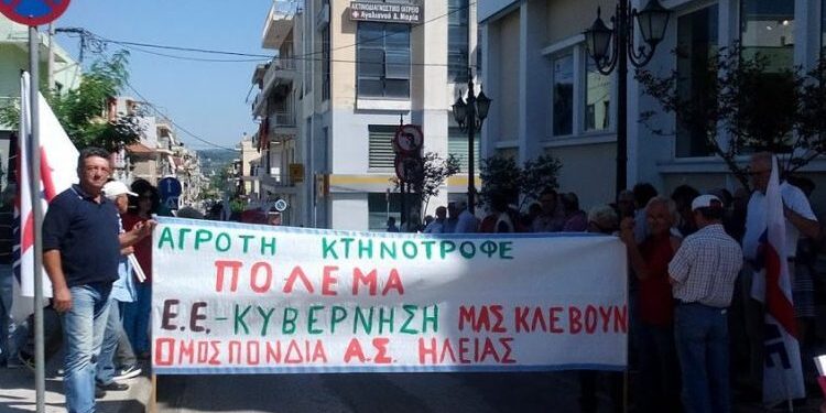 ΟΜΟΣΠΟΝΔΙΑ ΑΓΡΟΤΙΚΩΝ ΣΥΛΛΟΓΩΝ ΗΛΕΙΑΣ: “Να παρθούν όλα τα απαραίτητα μέτρα για την μη εξάπλωση της νόσου της ευλογιάς”