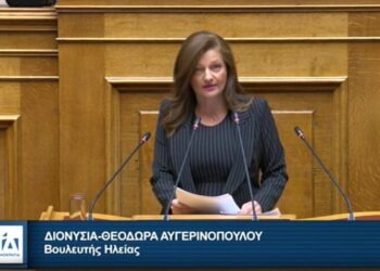 ΔΙΟΝΥΣΙΑ ΑΥΓΕΡΙΝΟΠΟΥΛΟΥ: Ομιλία στη Βουλή για το ν/σ του Υπουργείου Εθνικής Οικονομίας και Οικονομικών για το “Νέο Αναπτυξιακό Πρόγραμμα Δημόσιων Επενδύσεων”