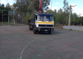 ΔΗΜΟΣ ΑΡΧΑΙΑΣ ΟΛΥΜΠΙΑΣ: Κλαδεύτηκαν δέντρα που αποτελούσαν κίνδυνο για τους μαθητές