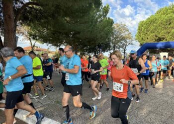 ΔΗΜΟΣ ΑΡΧΑΙΑΣ ΟΛΥΜΠΙΑΣ: Με επιτυχία το 5ο Foloi Trail Run