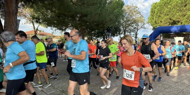 ΔΗΜΟΣ ΑΡΧΑΙΑΣ ΟΛΥΜΠΙΑΣ: Με επιτυχία το 5ο Foloi Trail Run