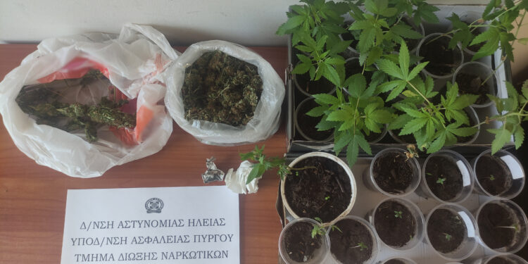 Νέες συλλήψεις στην Ηλεία για καλλιέργεια και κατοχή ναρκωτικών
