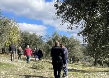 ΔΗΜΟΣ ΖΑΧΑΡΩΣ: Κλιμάκια του Οργανισμού ΕΛΓΑ (Ελληνικών Γεωργικών Ασφαλίσεων) και του Δήμου προέβησαν σε αυτοψία στις πληγείσες από το χαλάζι περιοχές