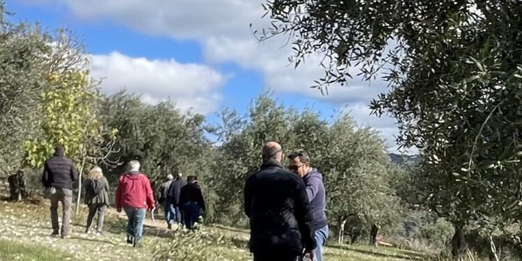 ΔΗΜΟΣ ΖΑΧΑΡΩΣ: Κλιμάκια του Οργανισμού ΕΛΓΑ (Ελληνικών Γεωργικών Ασφαλίσεων) και του Δήμου προέβησαν σε αυτοψία στις πληγείσες από το χαλάζι περιοχές