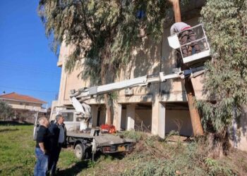 Παρέμβαση του δασαρχείου για τα επικίνδυνα δέντρα στην ΕΡΤ Πύργου
