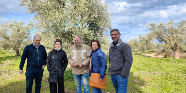 ΠΕΡΙΦΕΡΕΙΑ ΔΥΤΙΚΗΣ ΕΛΛΑΔΑΣ: Δεύτερη Συνάντηση Πιλοτικής Δράσης του Ευρωπαϊκού Έργου AMBITIOUS