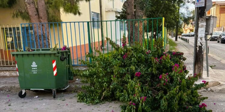 ΔΗΜΟΣ ΗΛΙΔΑΣ: Συνεργασία με τους δημότες ζητάει η υπηρεσίας καθαριότητας του Δήμου προκειμένου να συμβάλλουν όλοι στη βελτίωση της καθημερινότητας