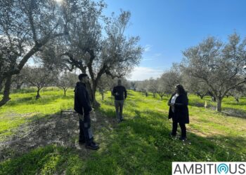 ΠΕΡΙΦΕΡΕΙΑ ΔΥΤΙΚΗΣ ΕΛΛΑΔΑΣ: Στα Δουνέικα Ηλείας η τρίτη συνάντηση της πιλοτικής δράσης του Ευρωπαϊκού Έργου AMBITIOUS