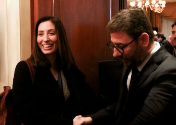 Η Ηλεία Μαρινίκη Θεοδώρου Αν. Γραμματέας του τομέα Οικονομικών του ΠΑΣΟΚ