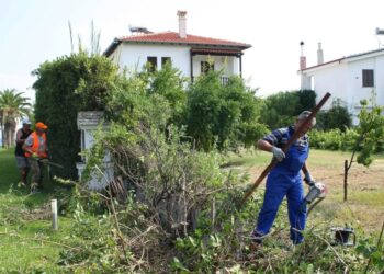 ΔΗΜΟΣ ΗΛΙΔΑΣ: Η Πολιτική Προστασία καλεί τους οικοπεδούχους να φροντίσουν για τον καθαρισμό των οικοπέδων τους