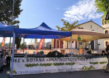 Με μεγάλη επιτυχία η Γιορτή της Άνοιξης στην Κοινότητα Μέλισσας