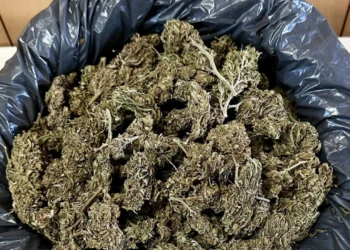 Συνελήφθη άνδρας στην Ηλεία για διακίνηση ναρκωτικών