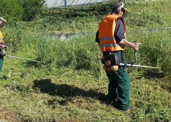 ΔΗΜΟΣ ΠΗΝΕΙΟΥ: Καθαρισμός οικοπέδων από τους ιδιοκτήτες ενόψει της αντιπυρικής περιόδου 2025