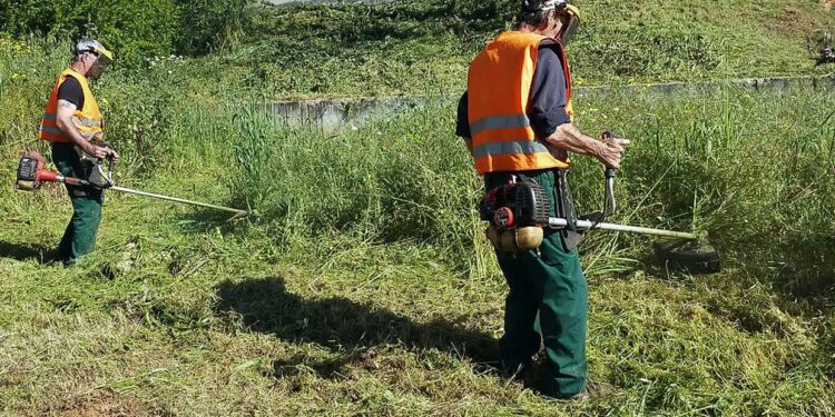 ΔΗΜΟΣ ΠΗΝΕΙΟΥ: Καθαρισμός οικοπέδων από τους ιδιοκτήτες ενόψει της αντιπυρικής περιόδου 2025