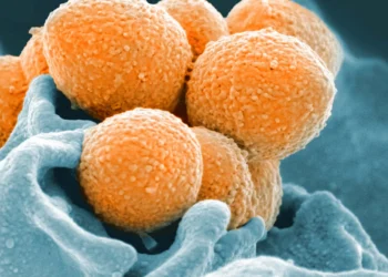 ΠΕΡΙΦΕΡΕΙΑ ΔΥΤΙΚΗΣ ΕΛΛΑΔΑΣ: Οδηγίες προστασίας για τα περιστατικά στρεπτοκοκκικής λοίμωξης σε σχολικές μονάδες