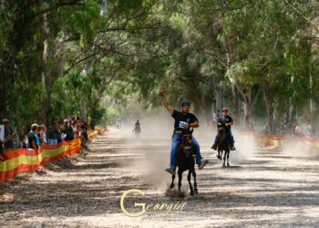 Με επιτυχία η 2η Ιππική Έκθεση και Παρουσίαση του Ιππικού Αθλητικού Συλλόγου της ΠΕ Ηλείας “Αδάμαστοι”
